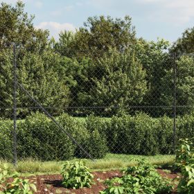 Chain Link Fence with Spike Anchors Anthracite 2x25 m