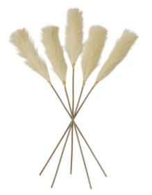 Bray Soft Feather Stem Pack of 5 - Ivory