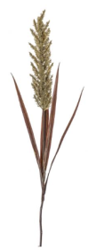 Bicester Pampas Spray - Wheat, Russet