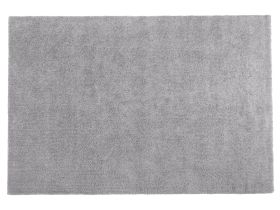 Shaggy Area Rug Light Grey 200 x 300 cm Modern High-Pile Machine-Tufted Rectangular Carpet 