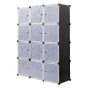 Wardrobe Wizard 12 Cube Organizer