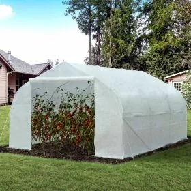 Walk Greenhouse Polytunnel - White