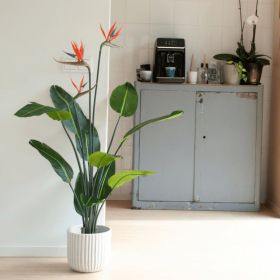 Emerald Artificial Plant Strelitzia in Pot with Flowers 120cm