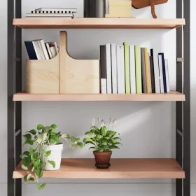 Wall Shelf Light Brown 100x50x4 cm Treated Solid Wood Oak