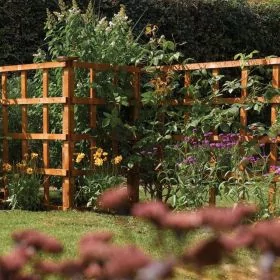 Heavy Duty Dip Treated 6x1 Garden Trellis - Set of 3