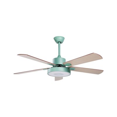 Ceiling Fan with Light Green and Light Wood HOBBLE