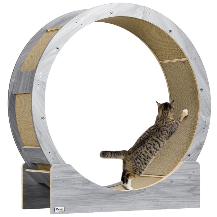 PAWSTER Cat Wheel with Brake, Scratching Pads - Grey
