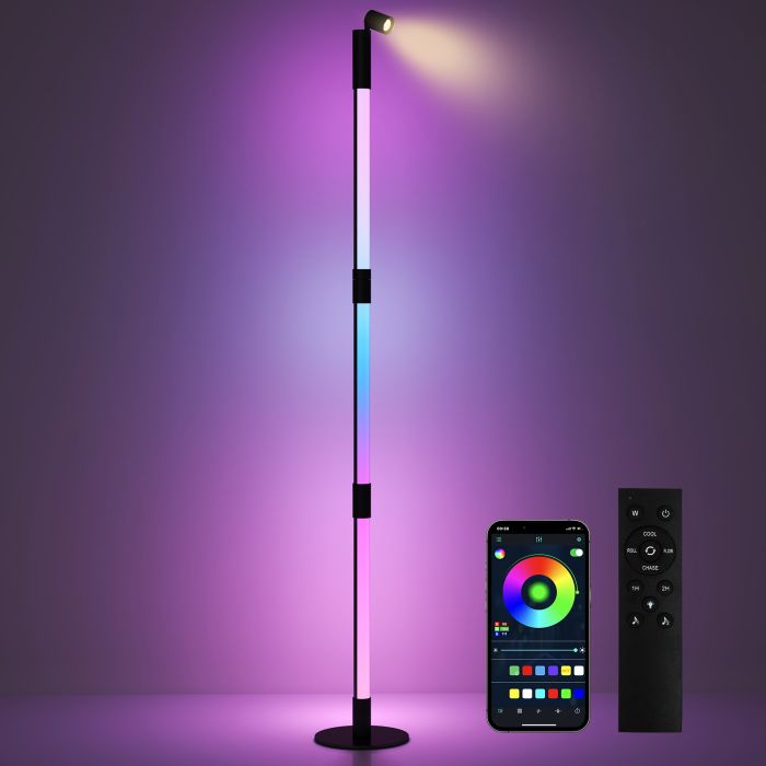 HERON LED Floor Lamp with Reading Light, 360deg RGB Detachable Corner Floor Lamp with App & Remote Control, Dark Grey