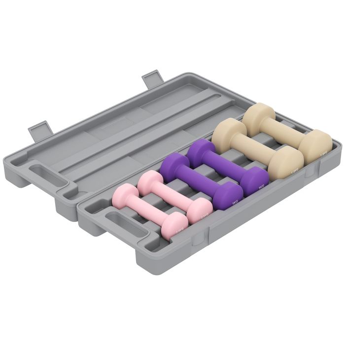 HERON Dumbbell Set 6KG for Home Gym Fitness Training - Pink/Purple/Brown