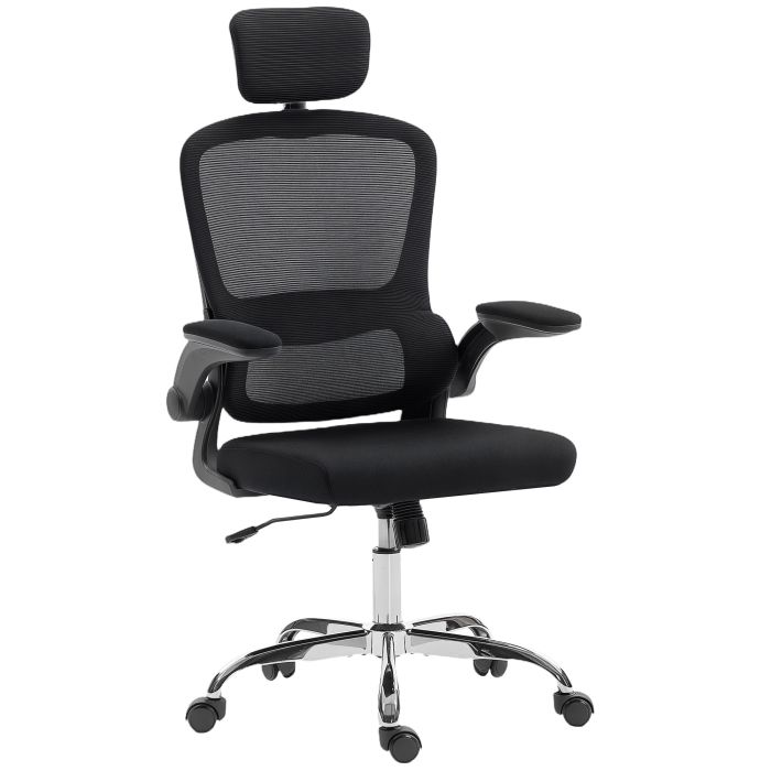ENVONIS Ergonomic Mesh Back Office Chair with Lumbar Support - Black