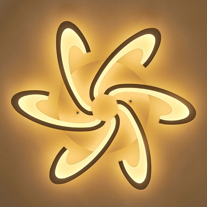 73cm Dia Special Design Energy-efficient LED Ceiling Light