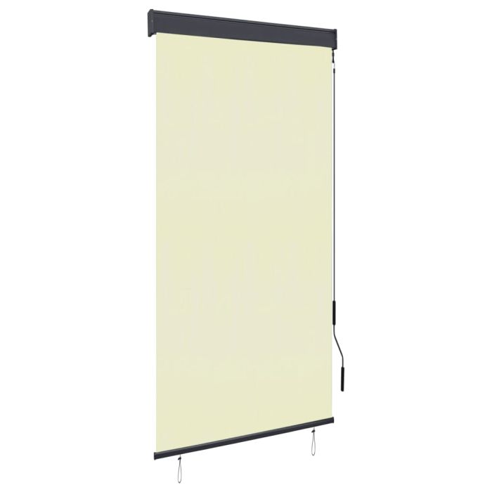 Outdoor Roller Blind 80x250 cm Cream
