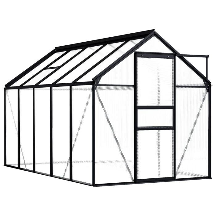 Greenhouse Anthracite Aluminium 5.89 m2