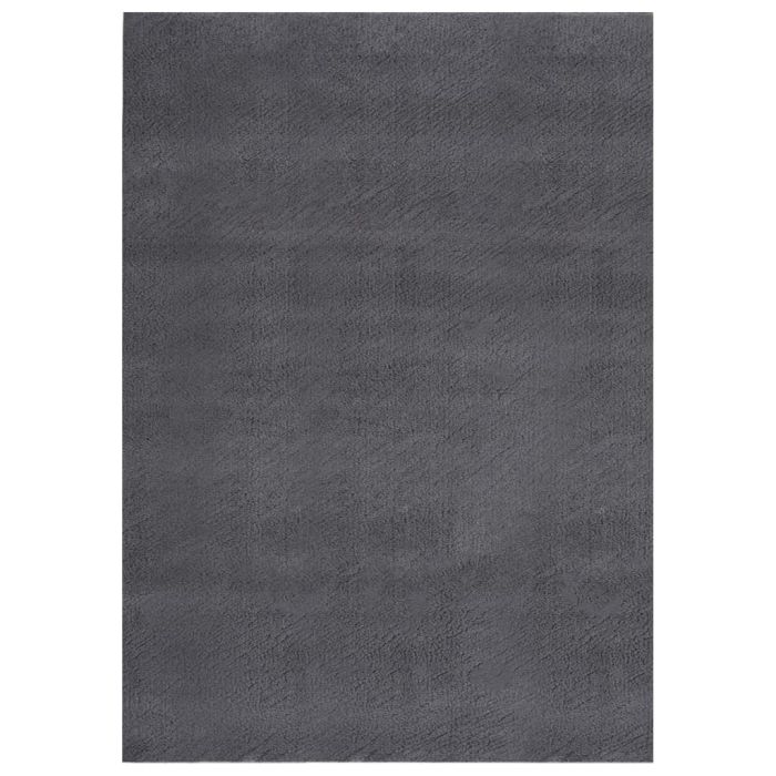Washable Rug Soft Shaggy 160x230 cm Anti Slip Anthracite