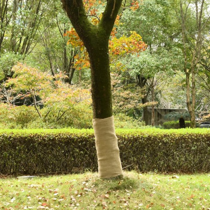 Jute Roll 1x5 m 100% Jute 200 gsm