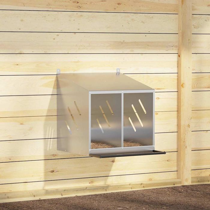 Chicken Nesting Box with 2 Compartments Galvanized Silver Metal