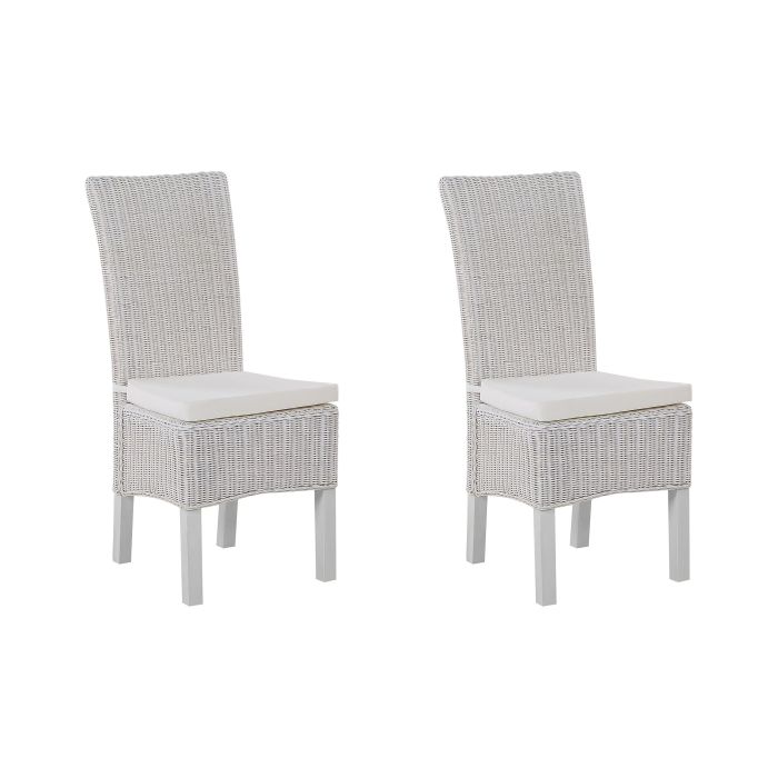 Set of 2 Rattan Dining Chairs White ANDES