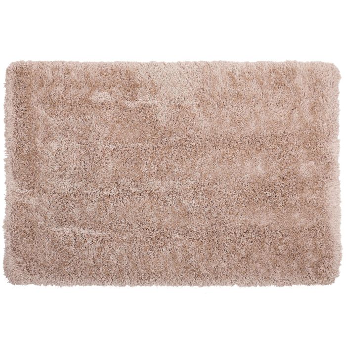Shaggy Area Rug 200x300cm Beige
