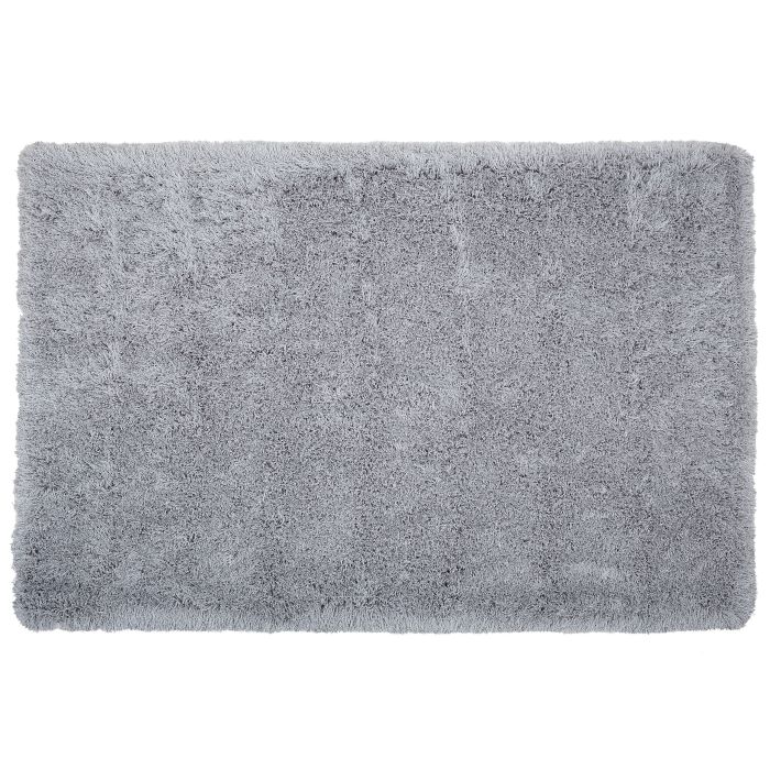 Shaggy Area Rug 200x300cm Grey