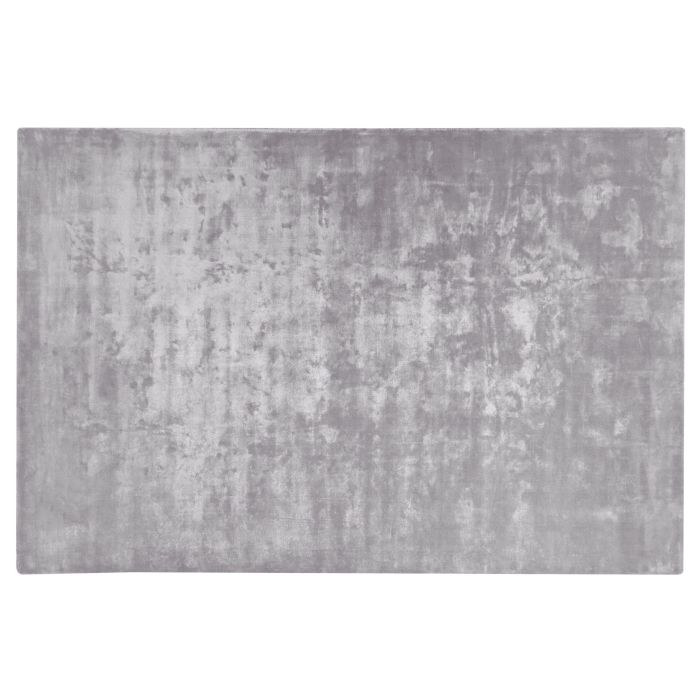 Viscose Area Rug 200x300cm Light Grey