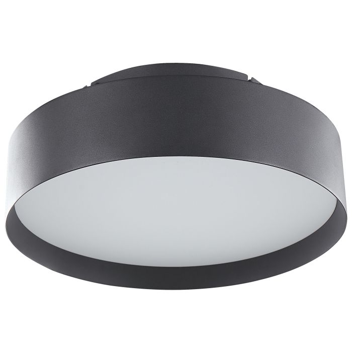 Metal LED Ceiling Lamp Black MOEI