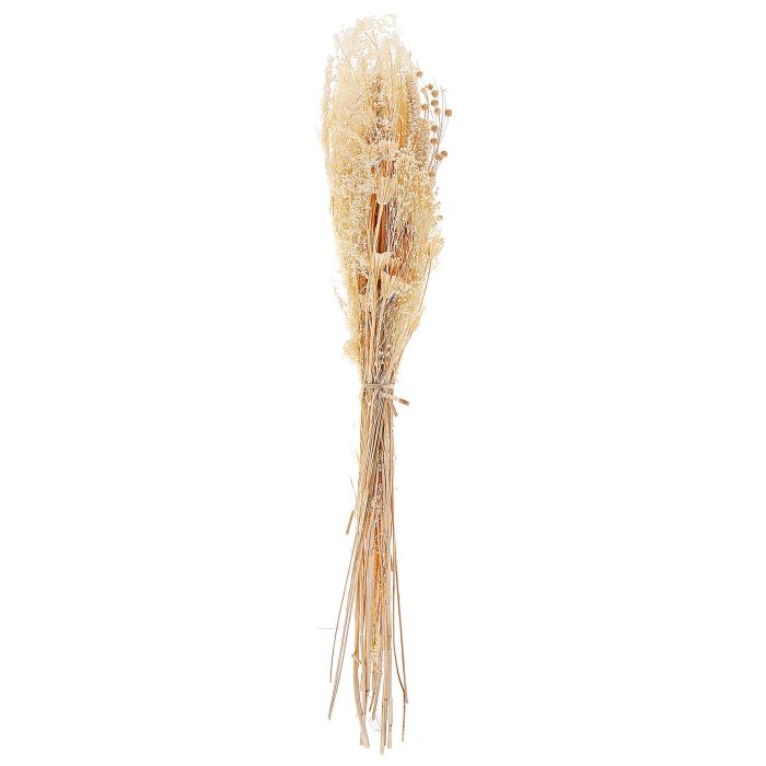 Dried Flower Bouquet 65 cm Natural BRUNETE