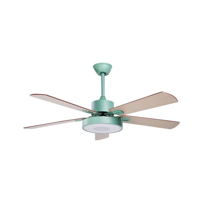 Ceiling Fan with Light Green and Light Wood HOBBLE