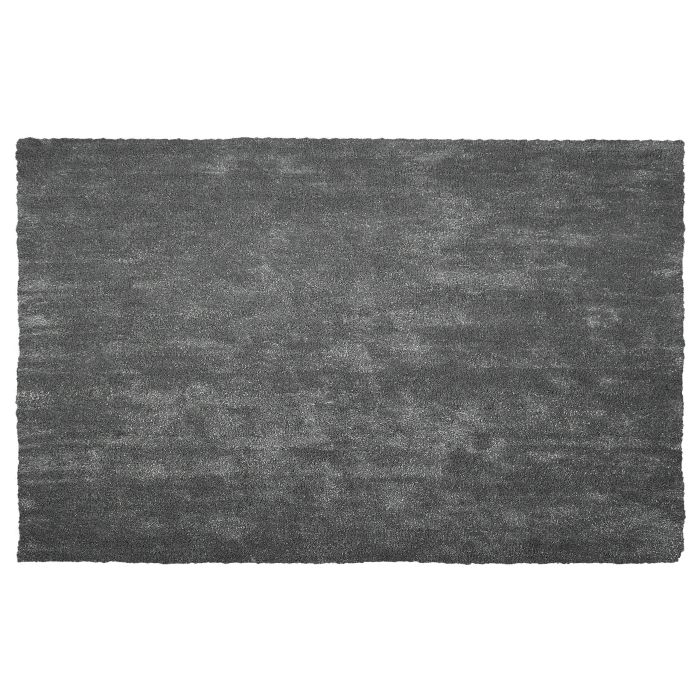 Shaggy Area Rug 200x300cm Dark Grey