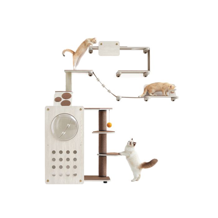Land Set of 7 Cat Wall Furniture