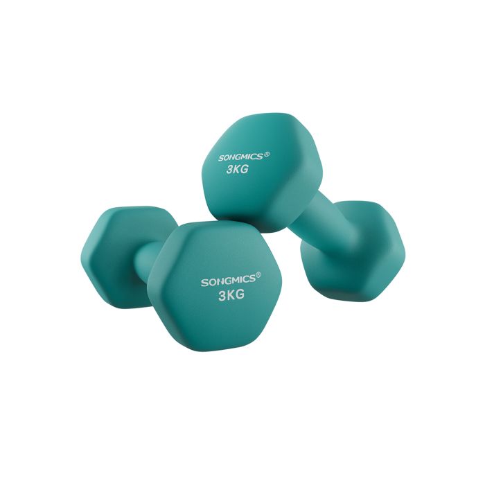 Set of 2 Dumbbells 2 x 3 kg Teal