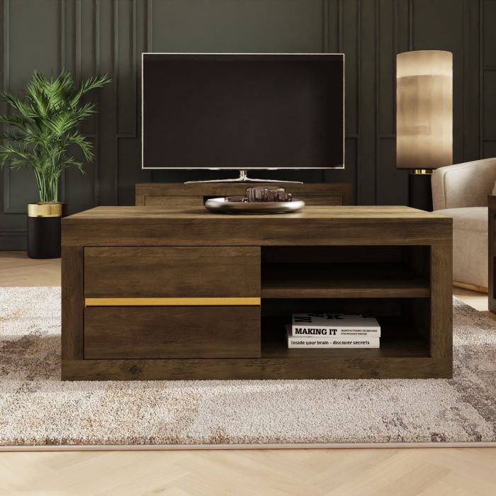 ASTRA Coffee Table with Gold Accents and Storage Drawers - Oak