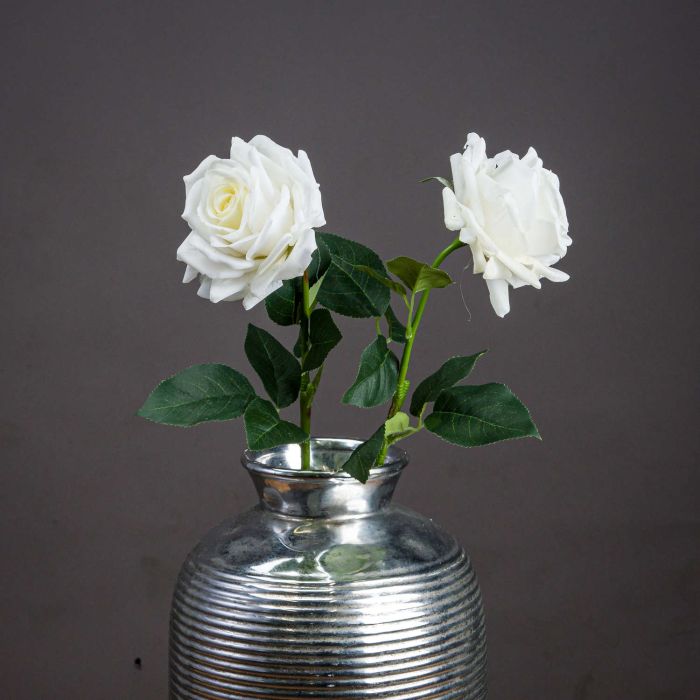 White Garden Rose - Large