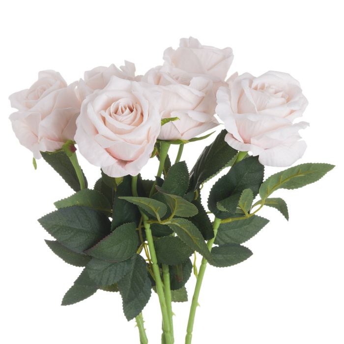 Pastel Tea Rose - Pink