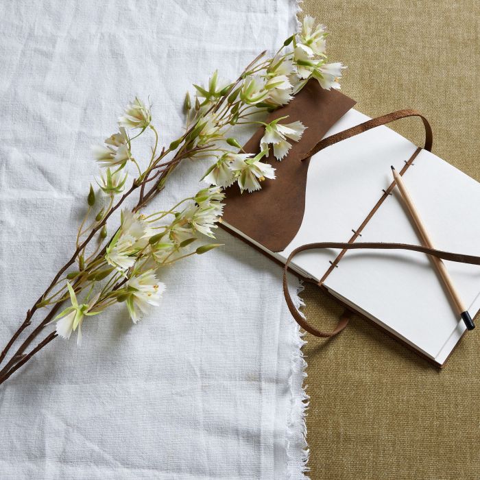 Elaeocarpus Stem - Green