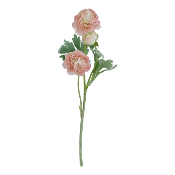 Natural Outdoor Collection Pink - Ranunculus