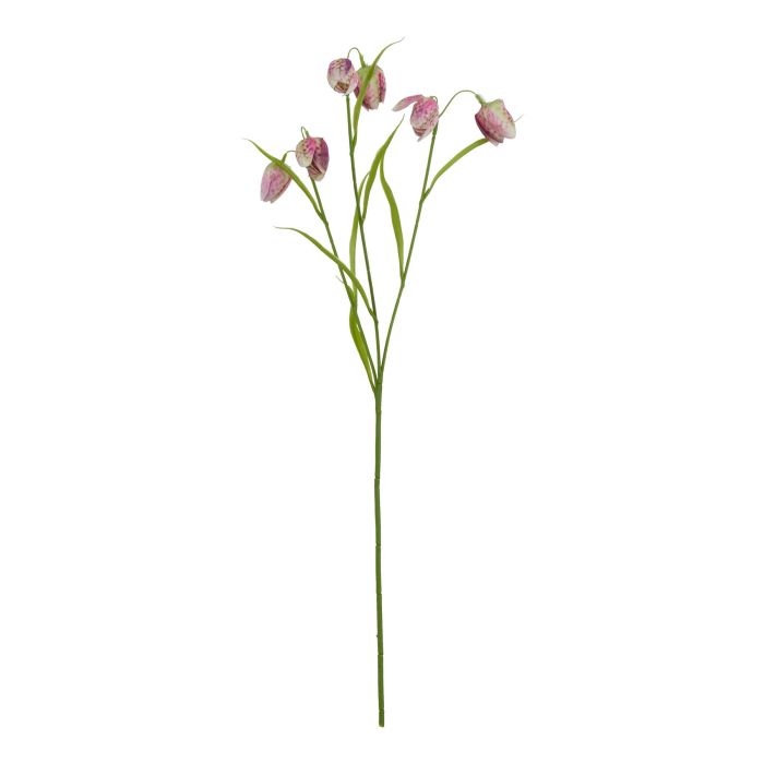 Natural Outdoor Collection Purple - Fritillaria Stem