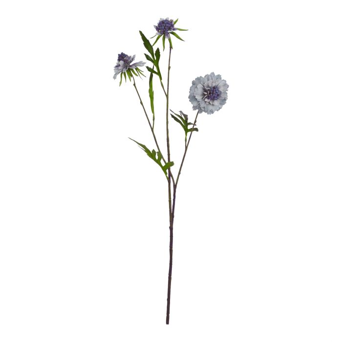 Pale Scabious Stem - Blue