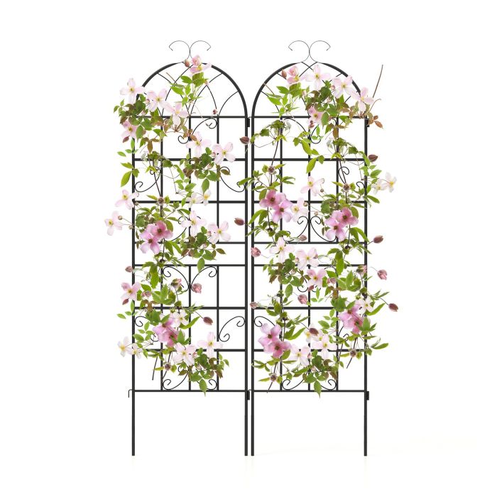 Garden Trellis - 2/4 Pack 180 cm x 50 cm Metal Garden Trellis Decorative for Climbing Plants-2 Pack