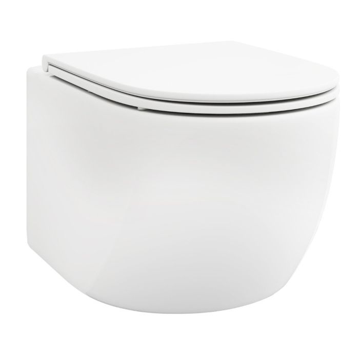Wall Hung Toilet Ceramic Wall-Mounted Toilet Bowl and Toilet Seat