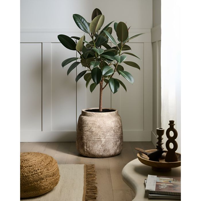 LAQEXI Plant Pot - Beige