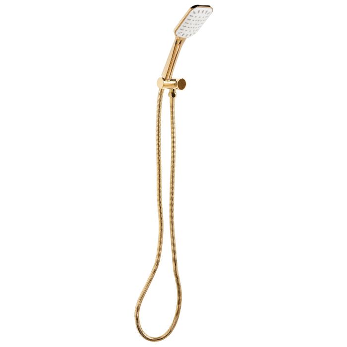 DANCOMBE Shower Head and Hose Kit - Gold