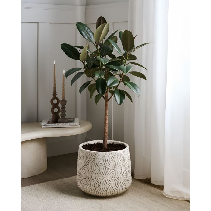 LARUXO Plant Pot - Light Beige