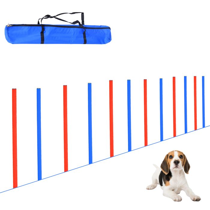 Pet Agility Training Run/Jump Set