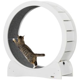 Shelley 30 Inch Wooden Cat Running Wheel with Brake - White