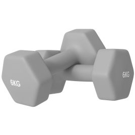 SPORTEDGE 2 x 6kg Hexagonal Dumbbells Weights Set with Non-Slip Grip for Home Gym Workout, Grey