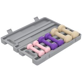 HERON Dumbbell Set 6KG for Home Gym Fitness Training - Pink/Purple/Brown