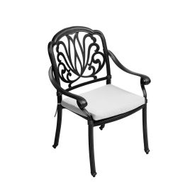 Set of 2 Outdoor Cast Aluminum Dining Chairs with Cushions