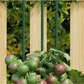 GACRES Garden Plant Stakes 30 pcs 90 cm Steel - Green