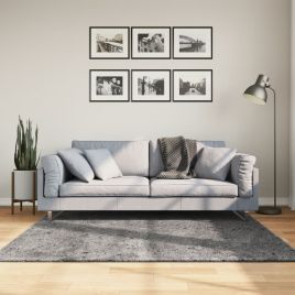 Rug Short Pile Soft and Washable Anthracite 160x160cm