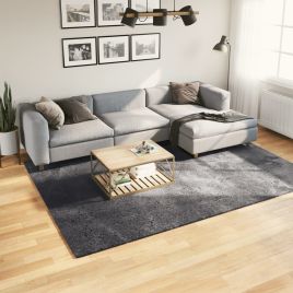 Rug Short Pile Soft and Washable Anthracite 200x280cm